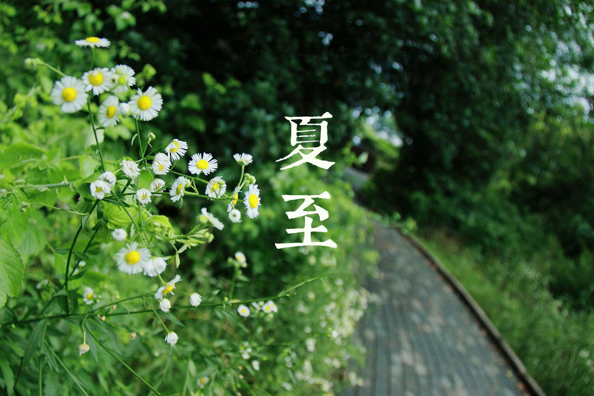 夏至 - 民俗节日
