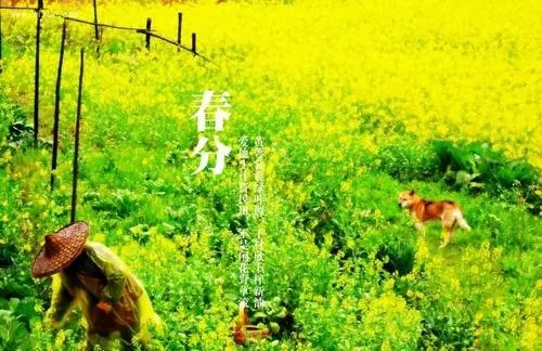 春分 - 民俗节日