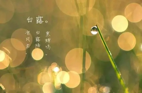 白露 - 民俗节日