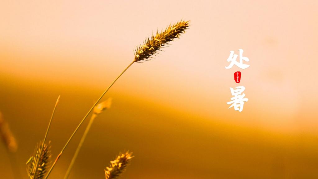 处暑 - 民俗节日